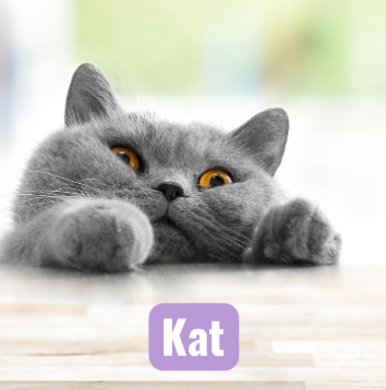 274980172 615020179592851 1921763395324504253 N